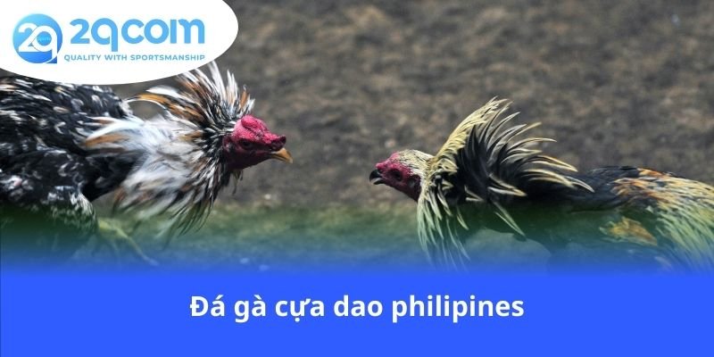 da-ga-cua-dao-philipines