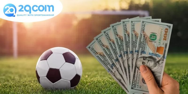 Khái niệm và vai trò 