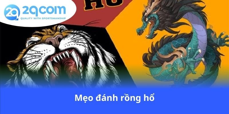 meo-danh-rong-ho