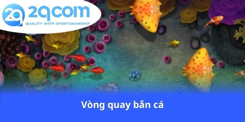 vong-quay-ban-ca